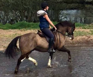 Home Farm Country Ride | Home Farm, Backford