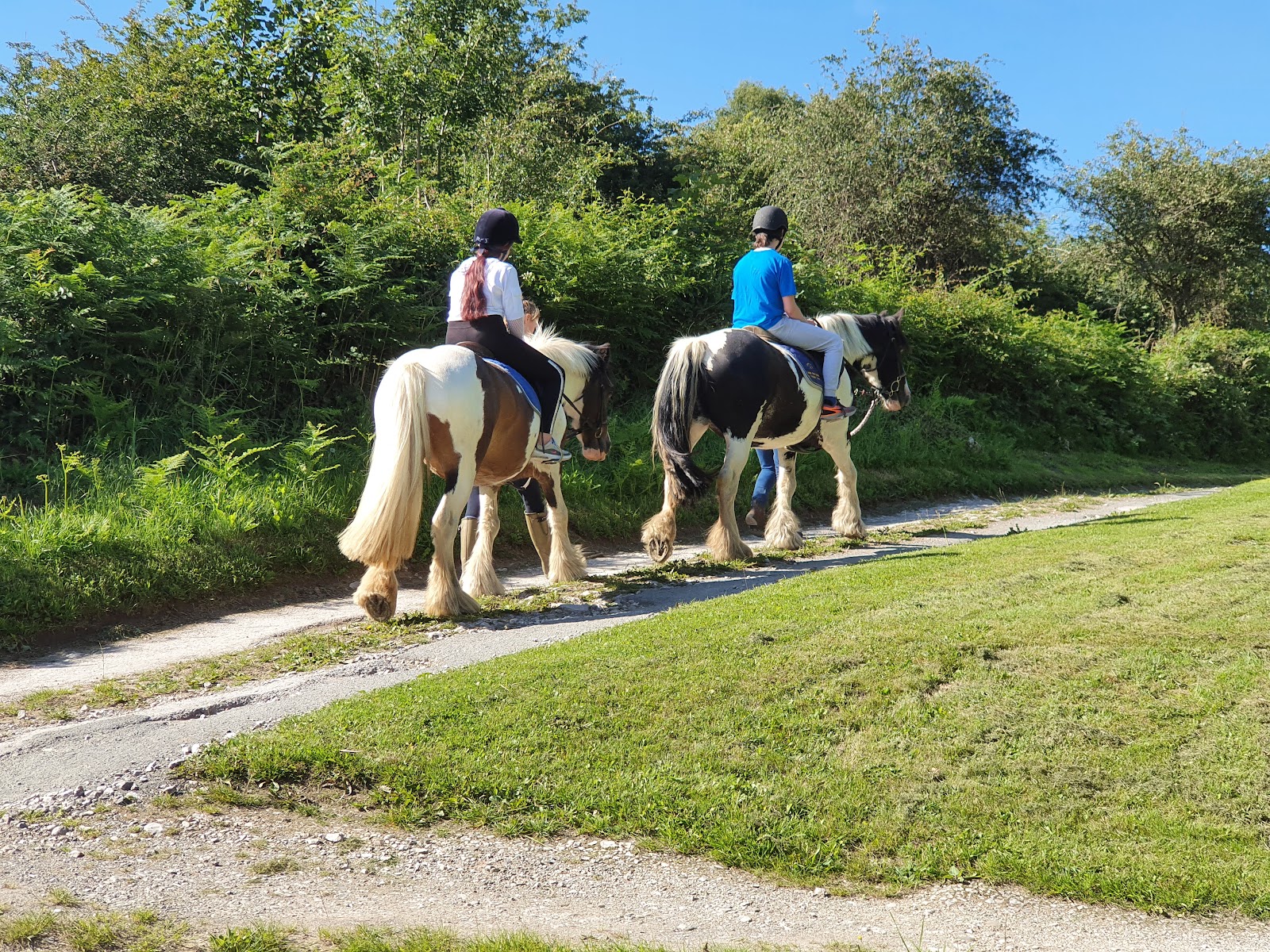 Linden Farm Riding & Trekking Centre