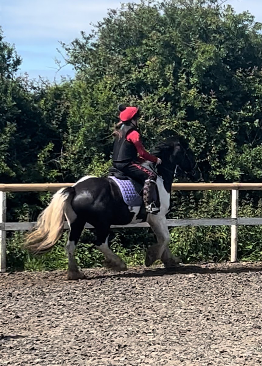 Topline Equine Riding School
