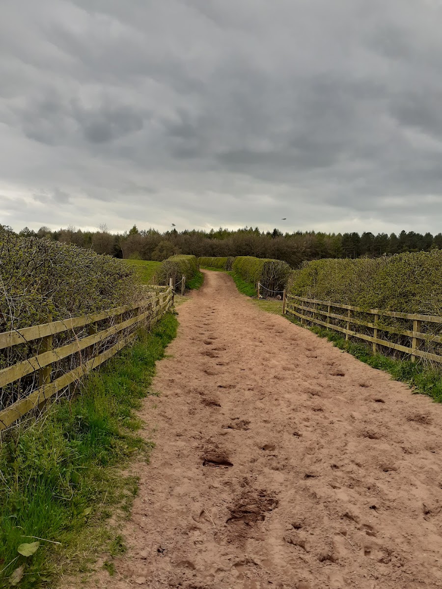 Kelsall Hill Equestrian Centre