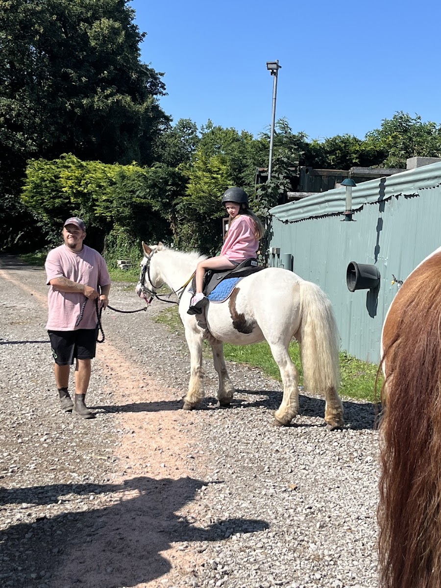 Bridlewood Equestrian Centre