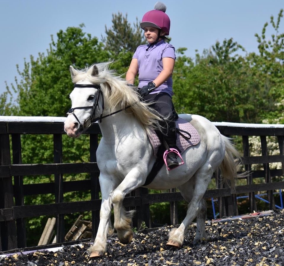 Harmony Stables Buckley
