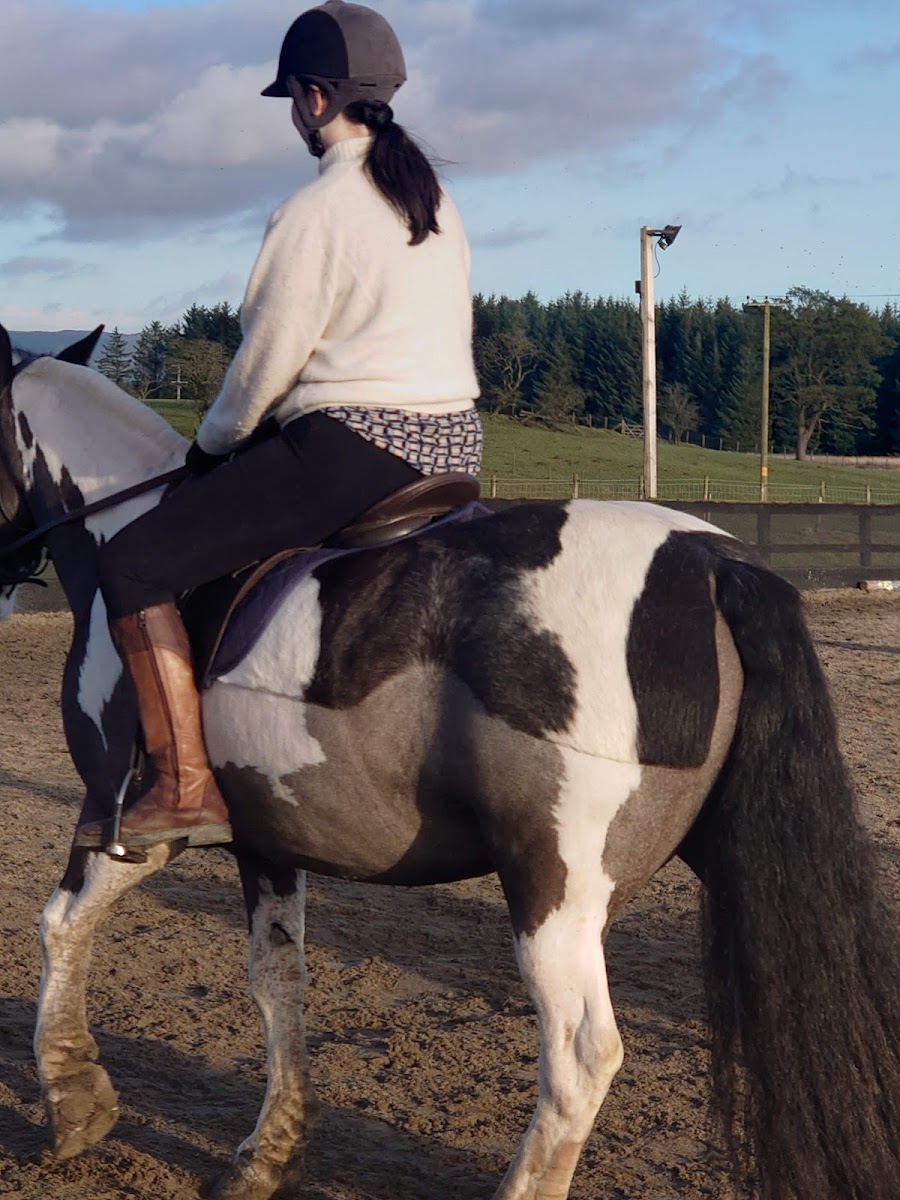 Lads Lodge Riding Centre