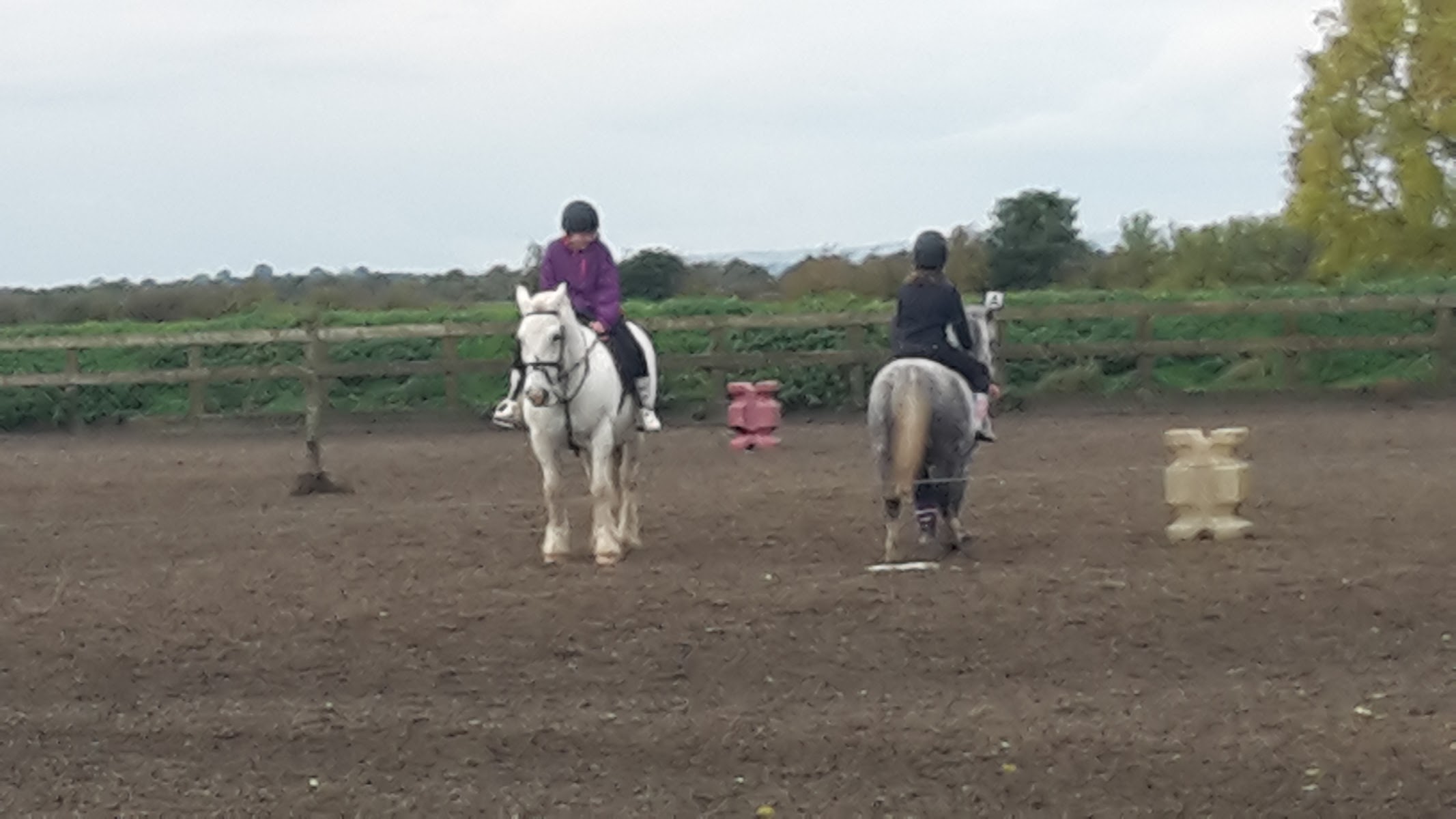 Boustead Hill Equestrian Centre
