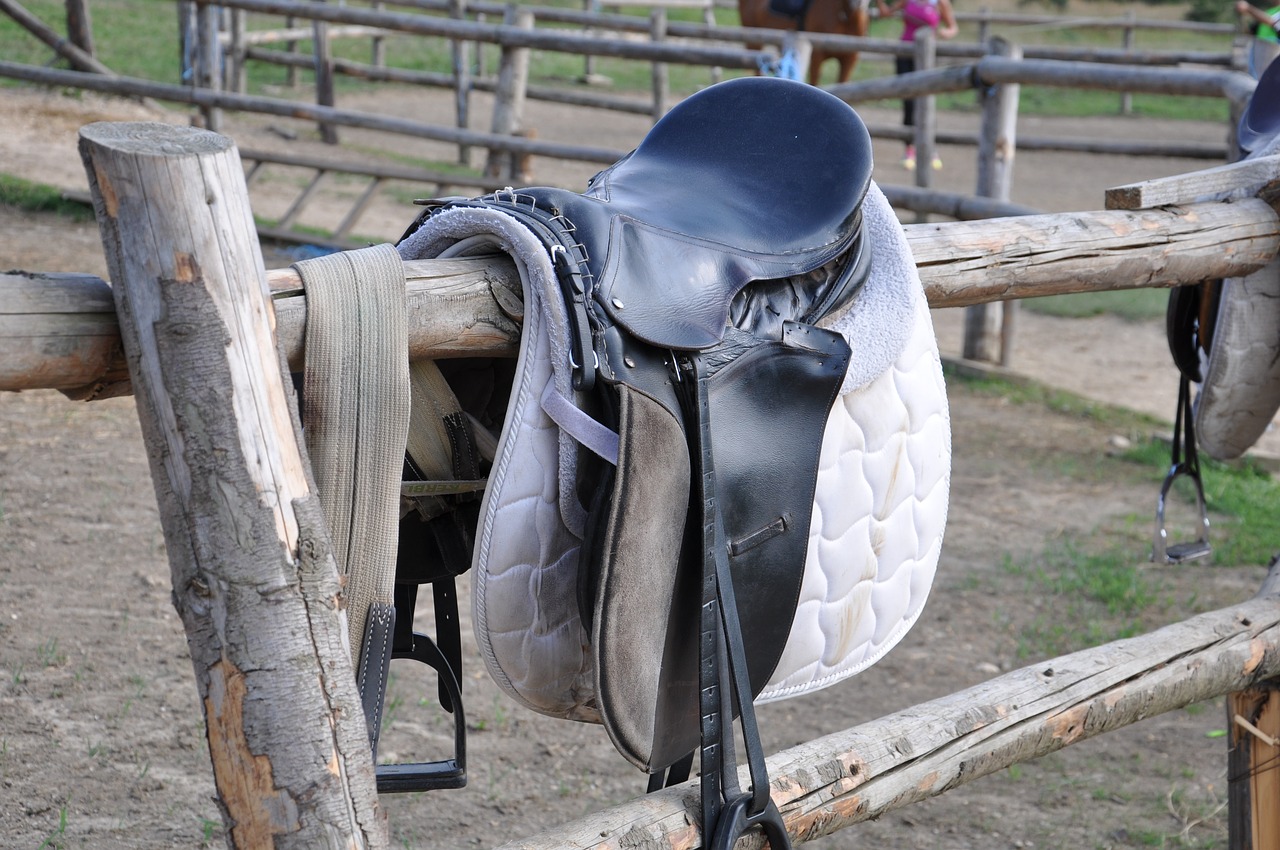 Beaumont Grange Farm Equitation Centre
