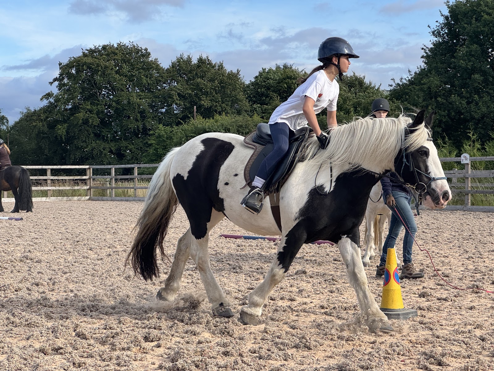 Think Like a Pony
