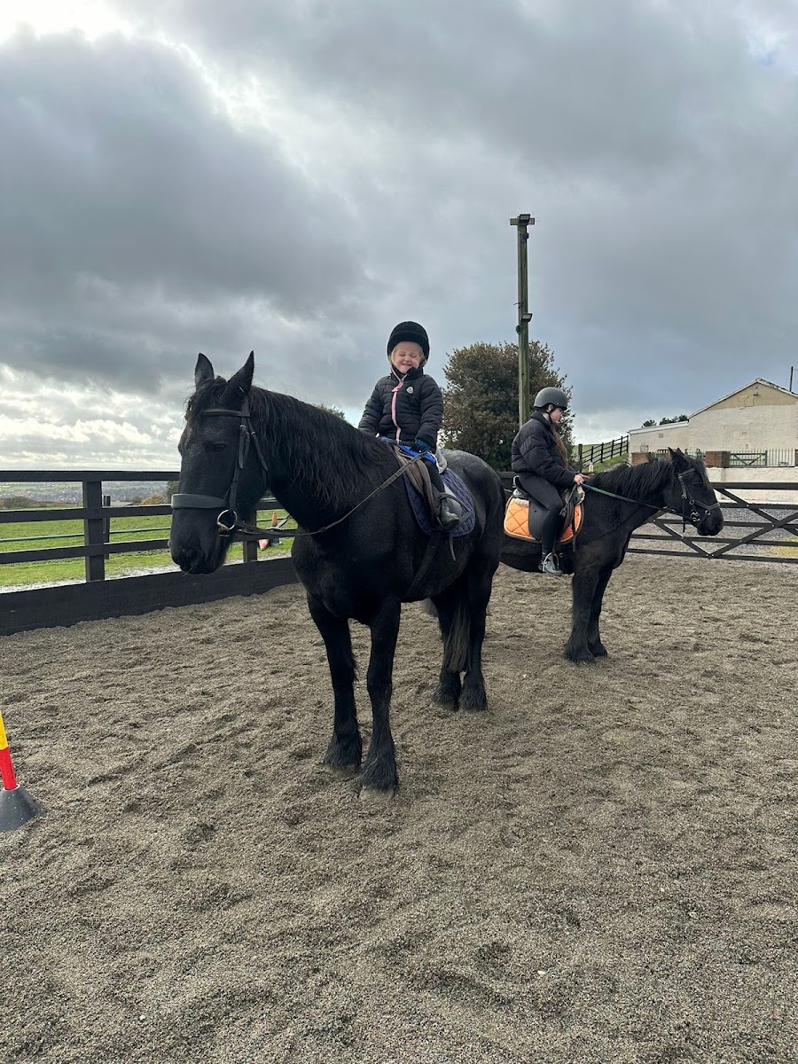 Cliffhollins Riding School