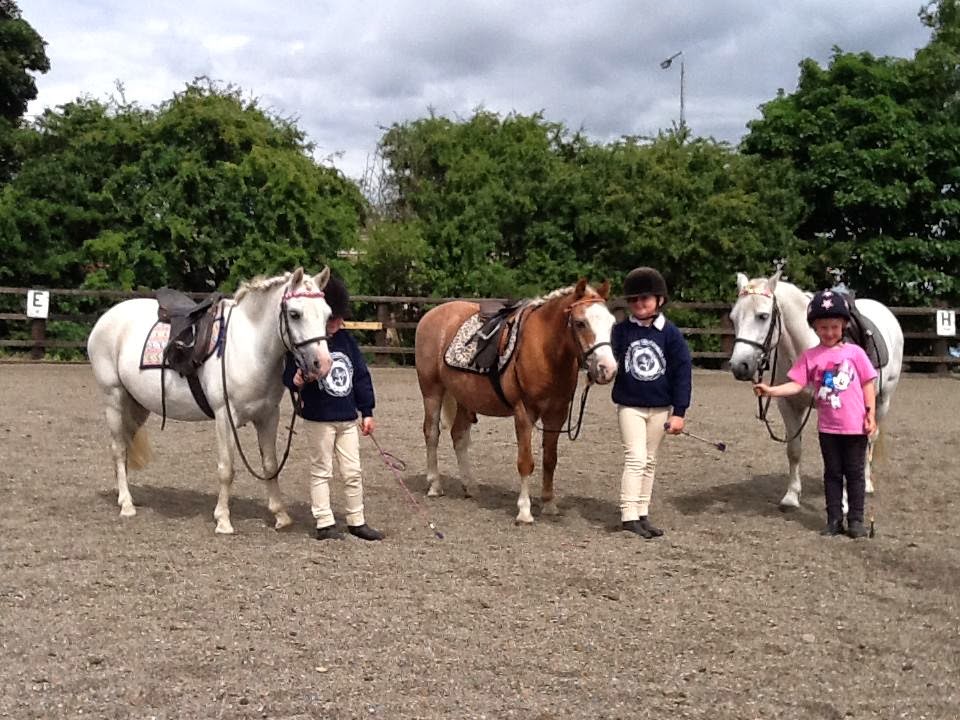 Tong Lane End Equestrian centre