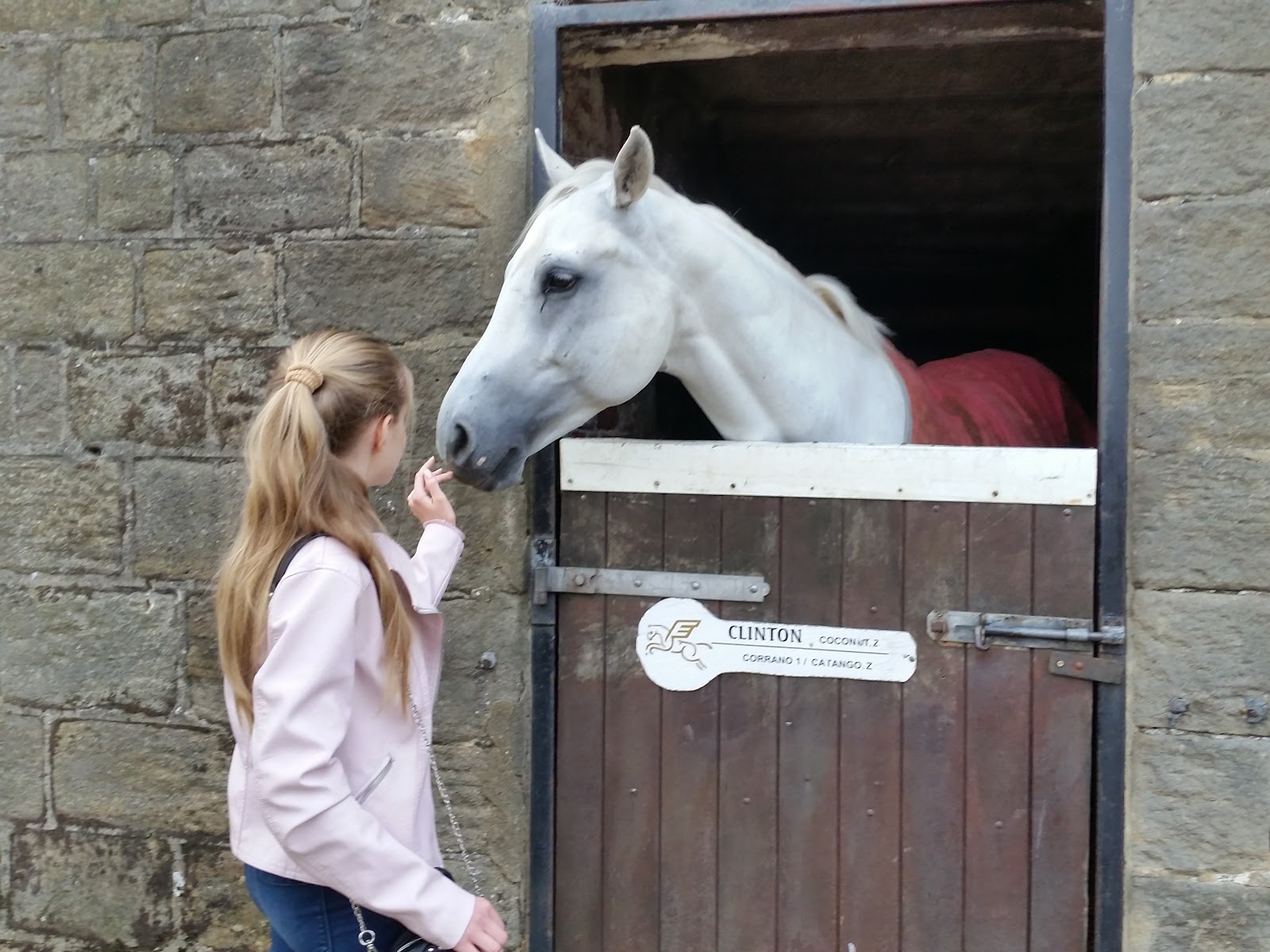 Acrecliffe Equestrian Centre