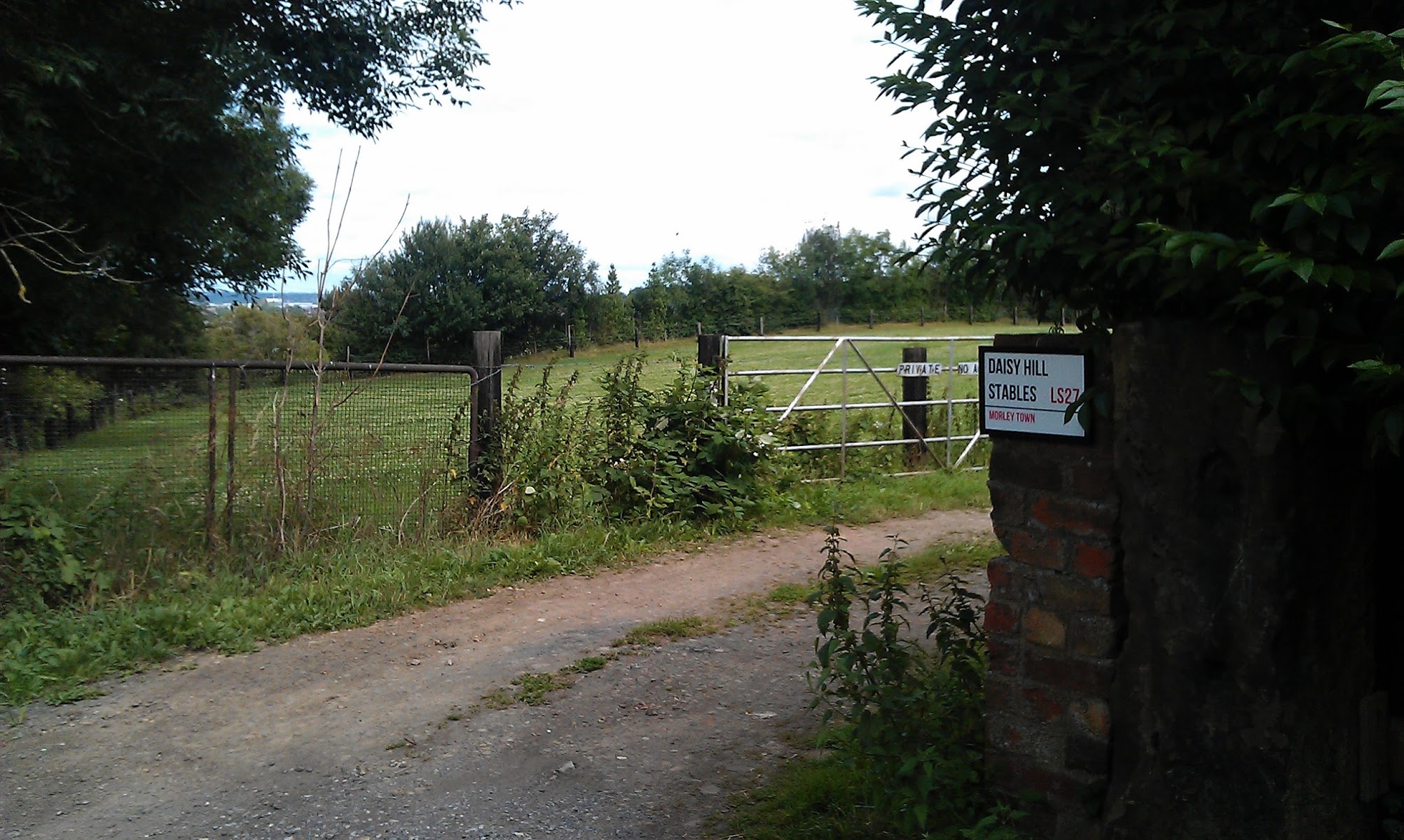 Daisy Hill Stables