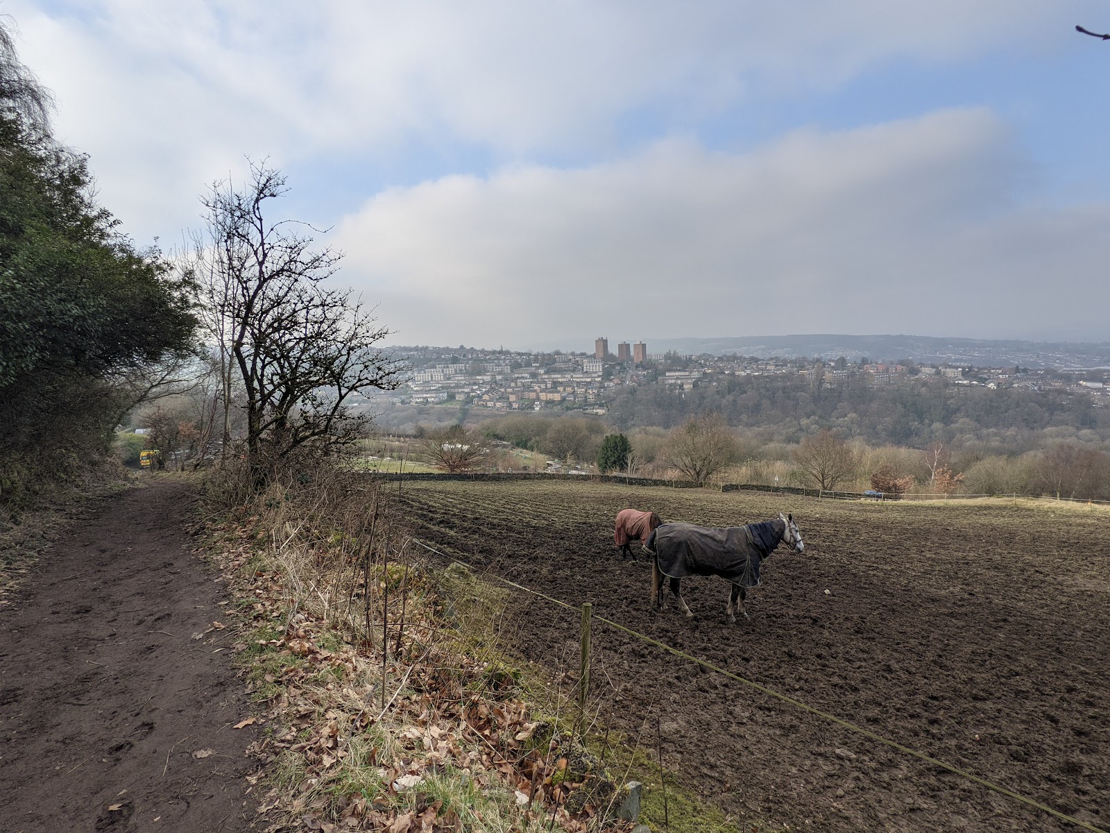 Cloughfields Equestrian Centre