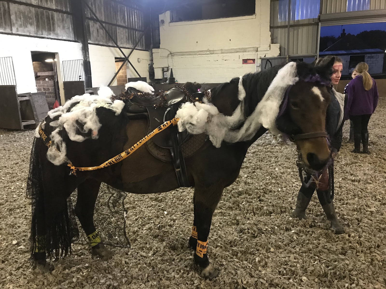 Snowdon Farm Riding School