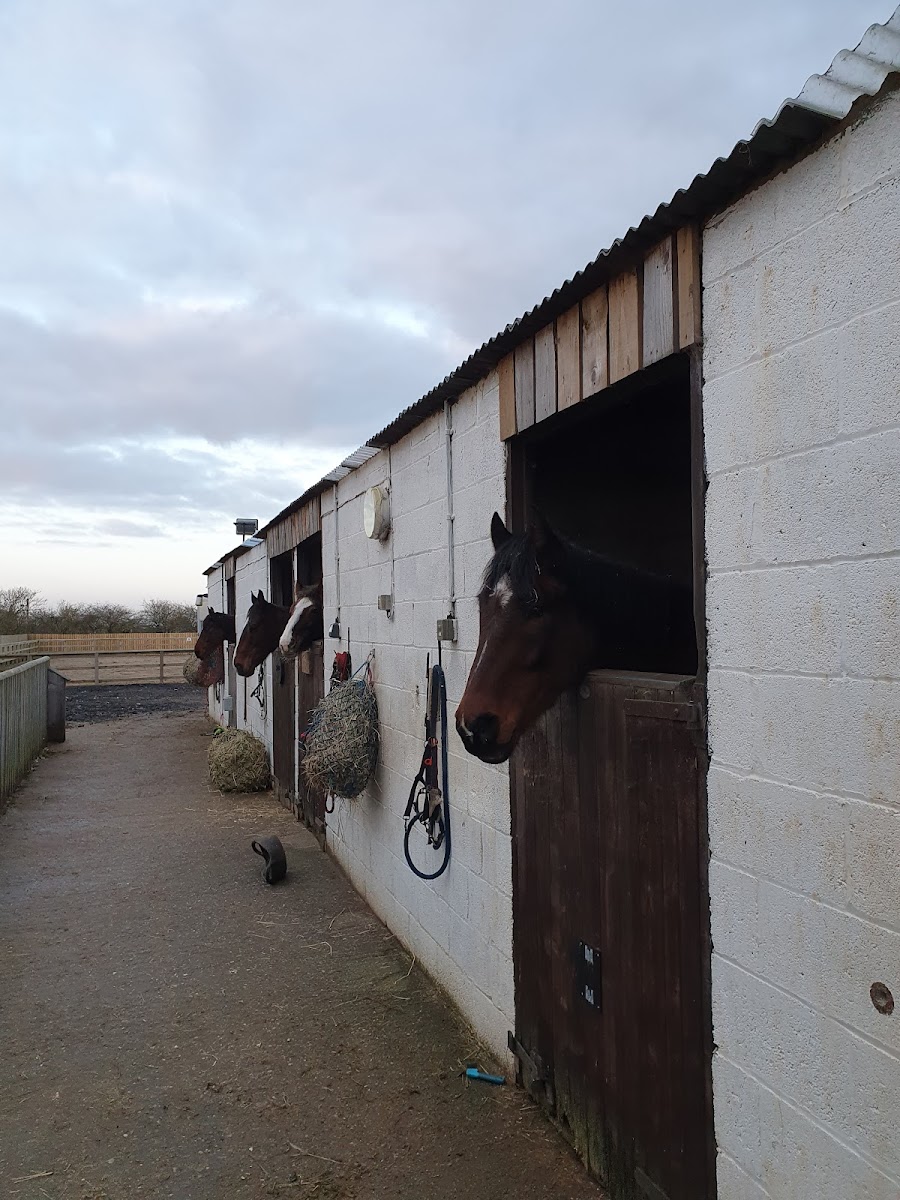 Brigg View Farm