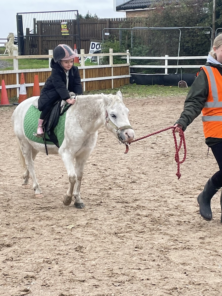 Equine Dreams Bawtry