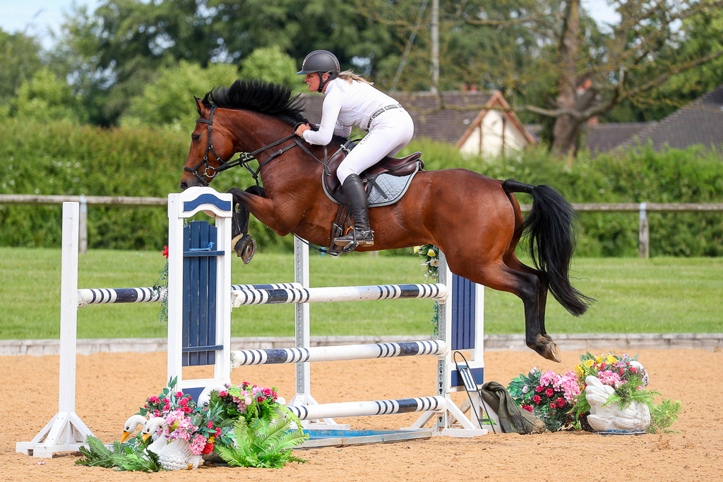 Avalon Mill Equestrian