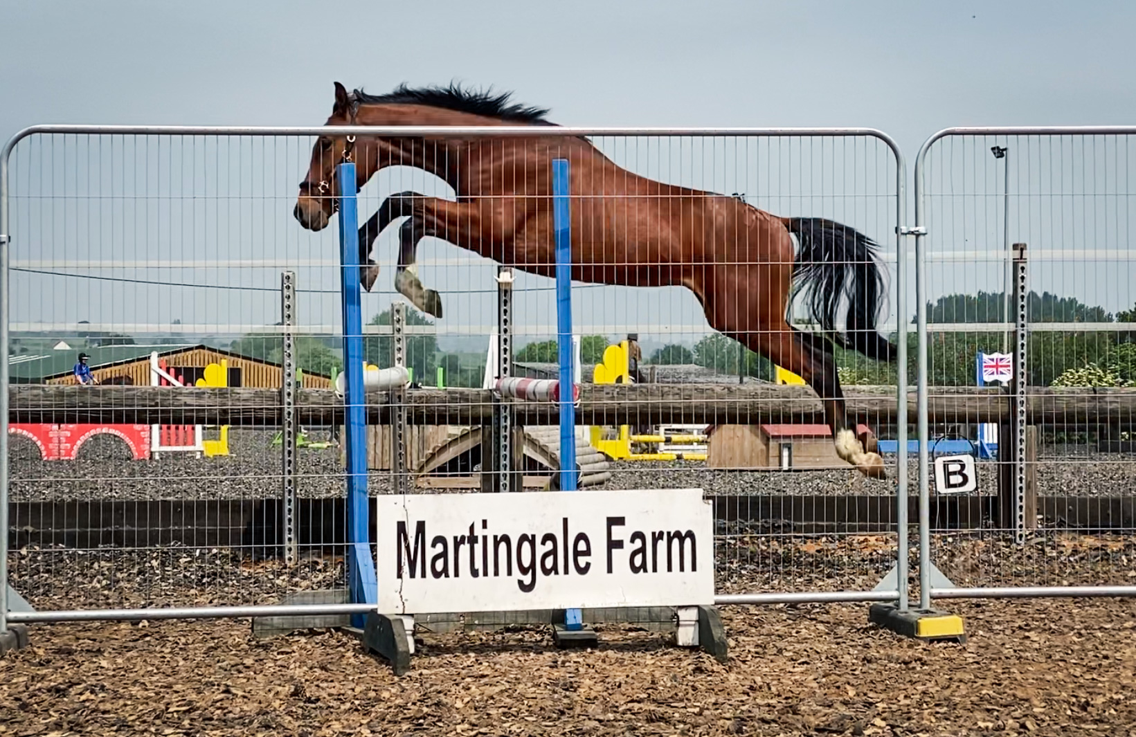 Martingale Farm