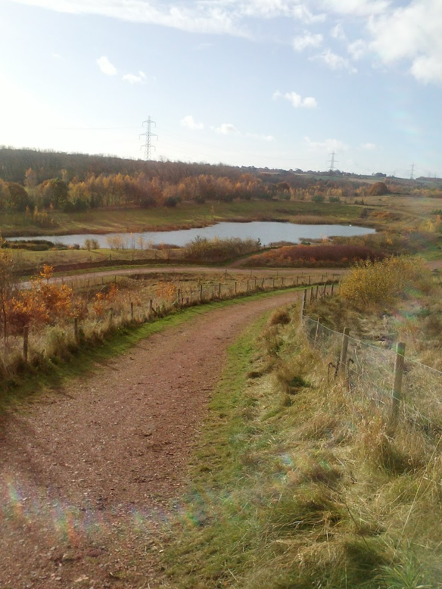 Frickley Park