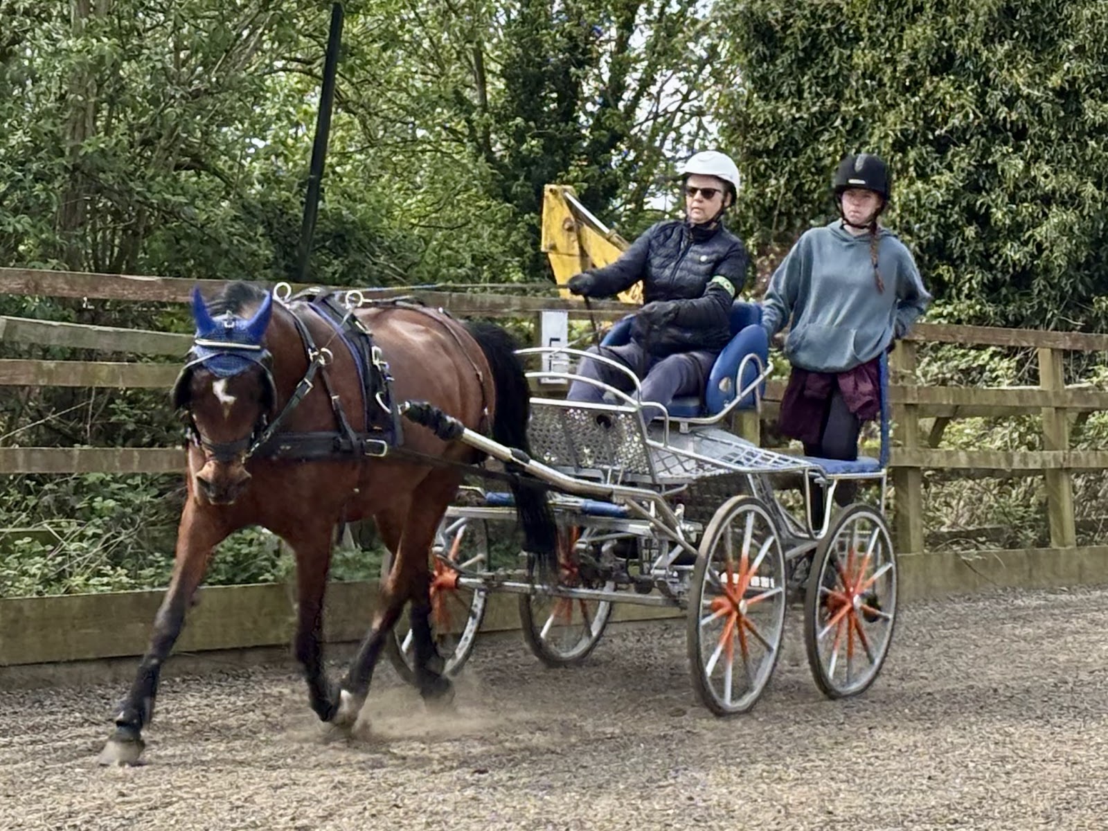Carriage Driving Community CIC