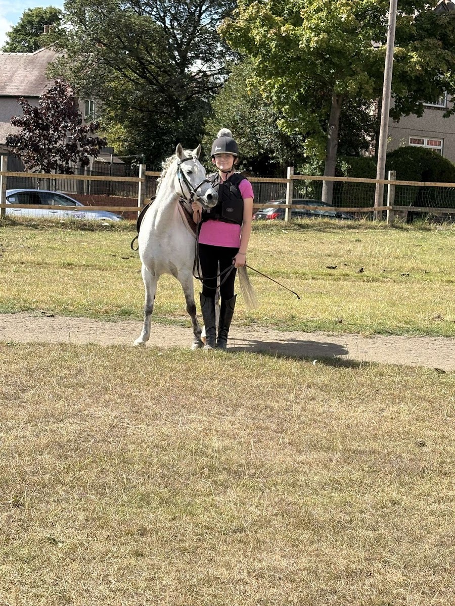 Nether Hall Riding School