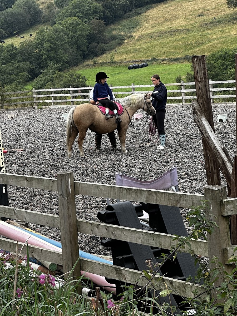nest farm riding school