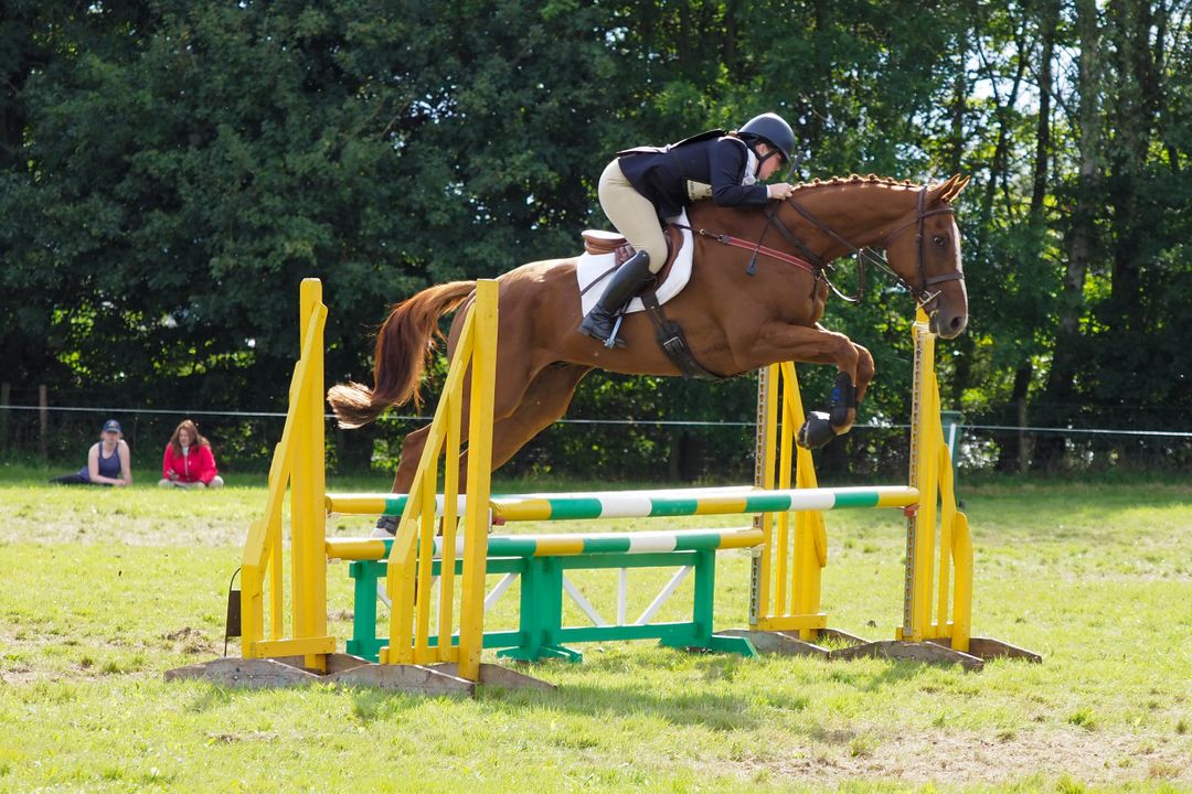 Oakwood Equestrian
