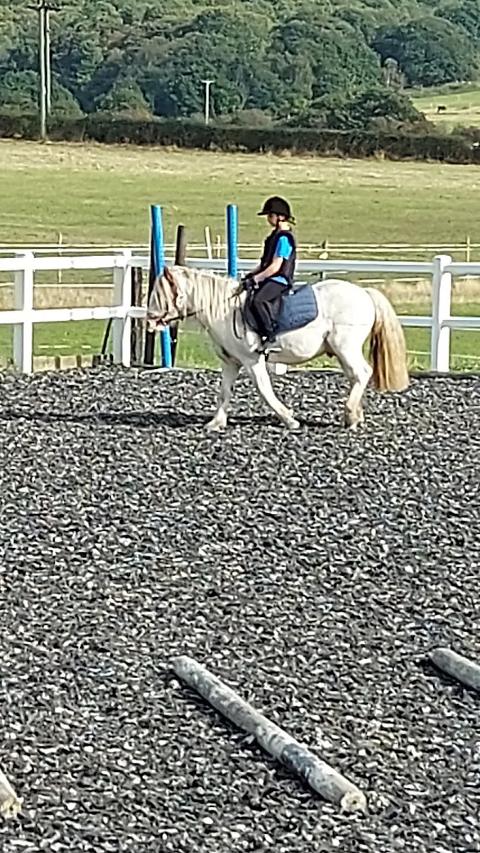 BROAD VIEW RIDING SCHOOL