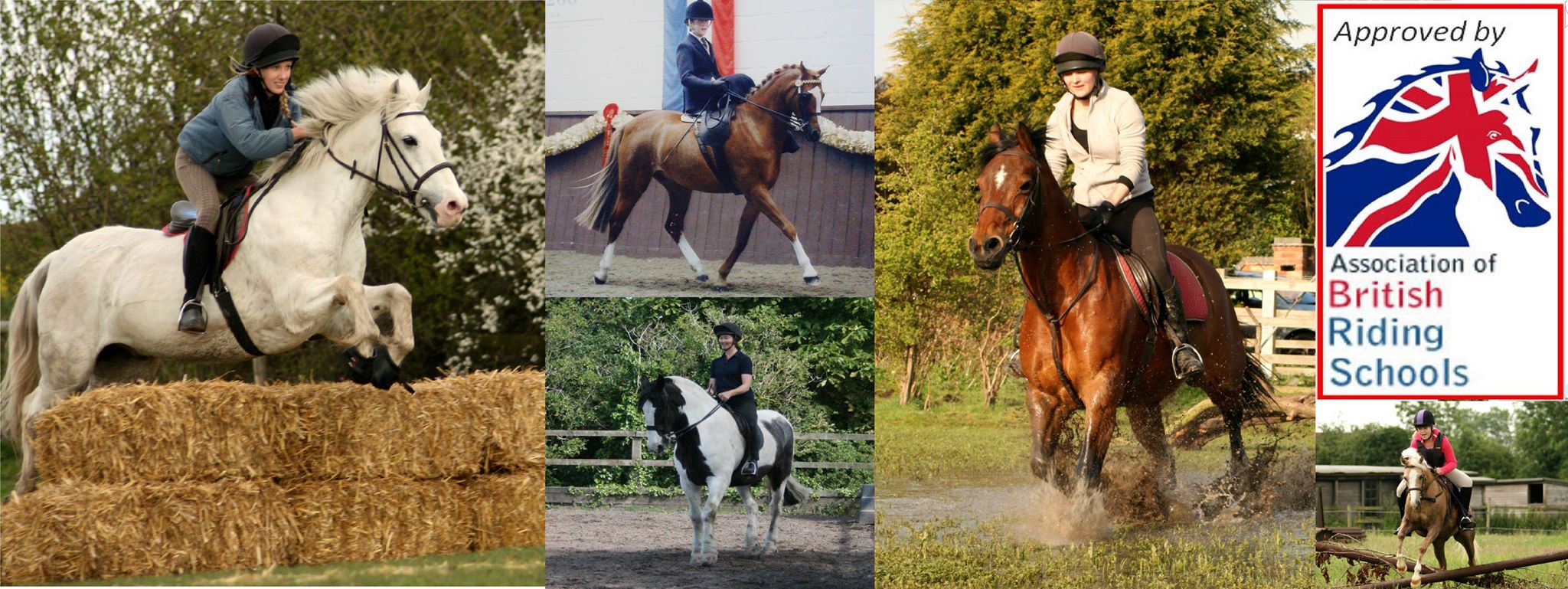 Bassingfield Riding School, Livery & Saddlery