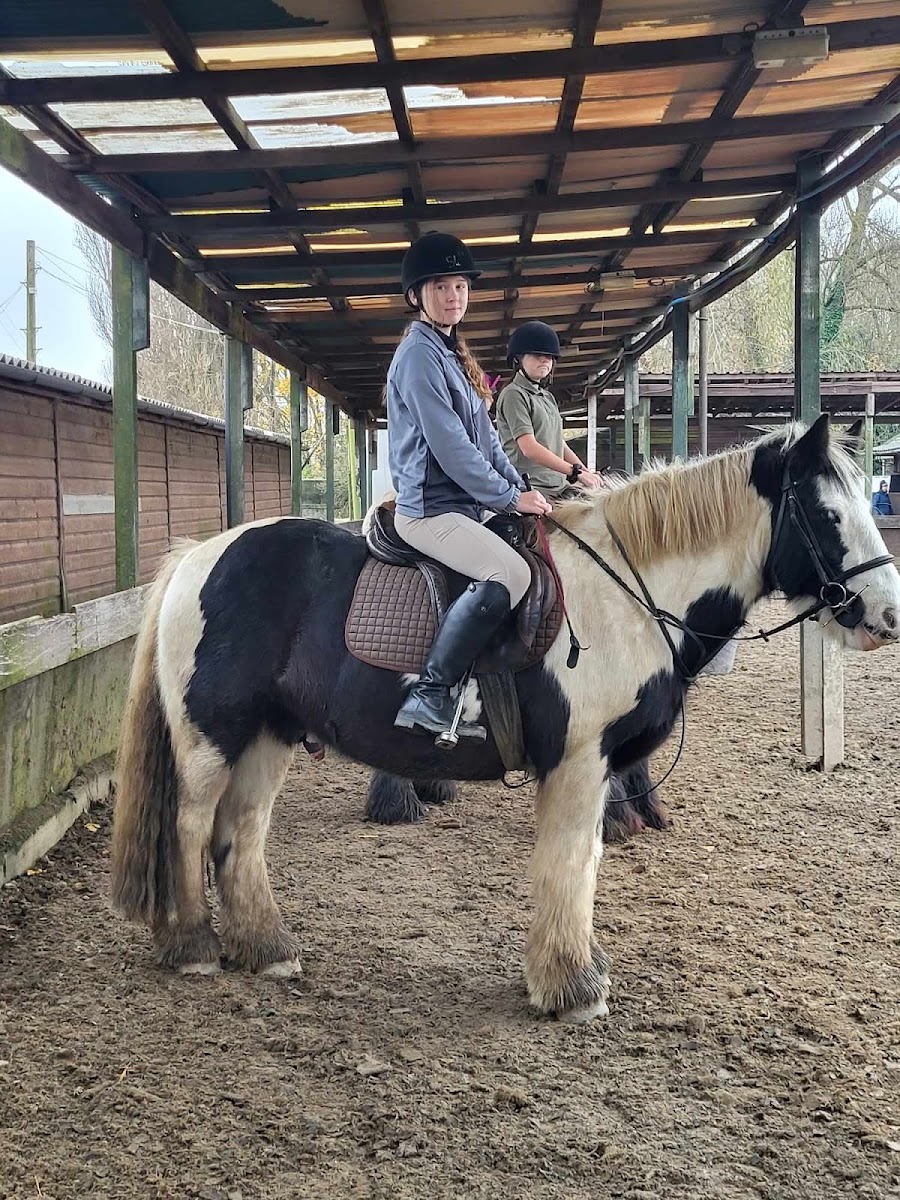 St Leonard's Riding School and Livery Yard