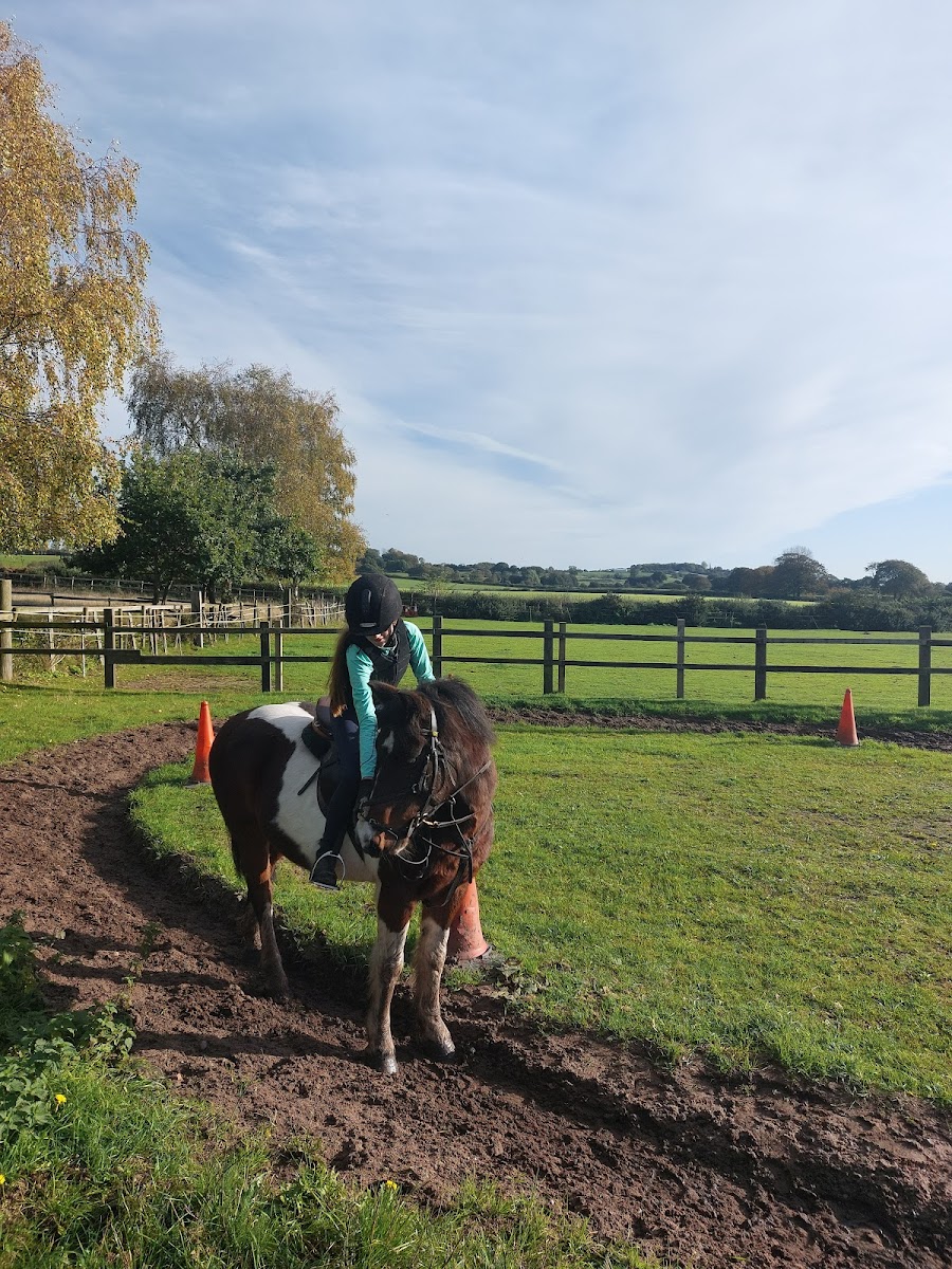 Little John Paddocks