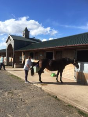 RCF097 Avenue Farm and Marson Stables