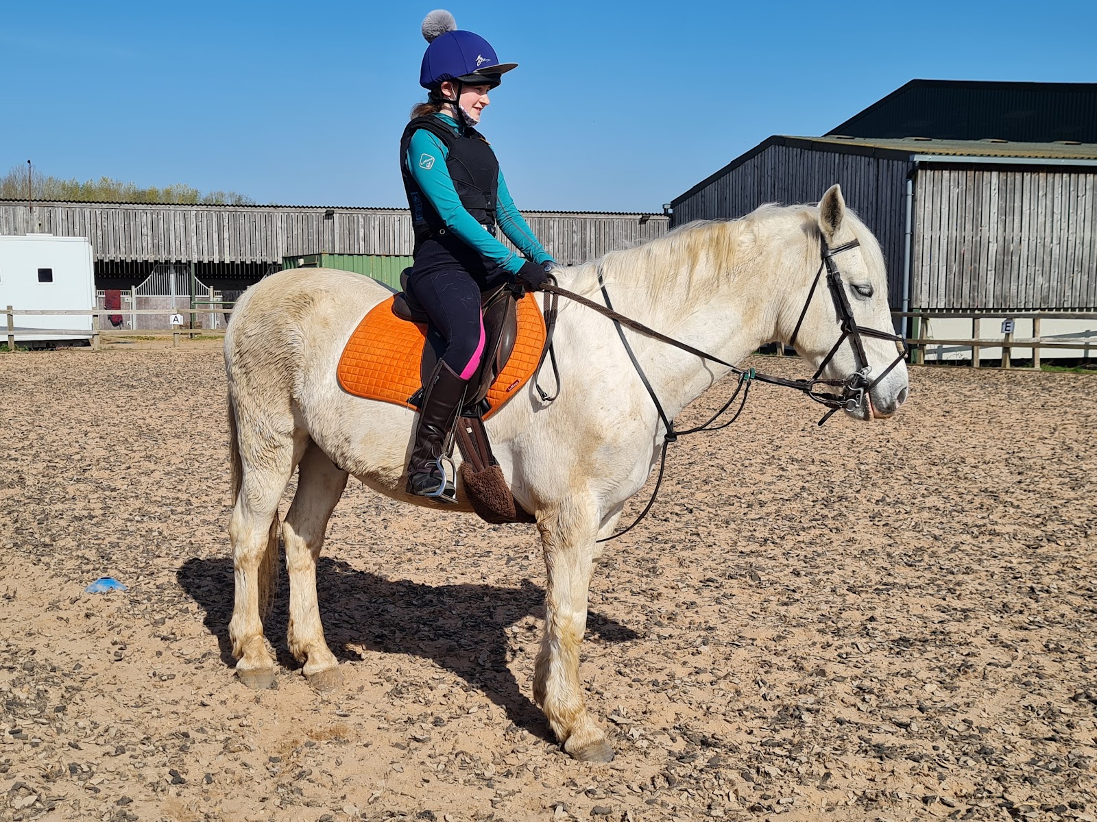 TrentValley Equestrian Centre LLP