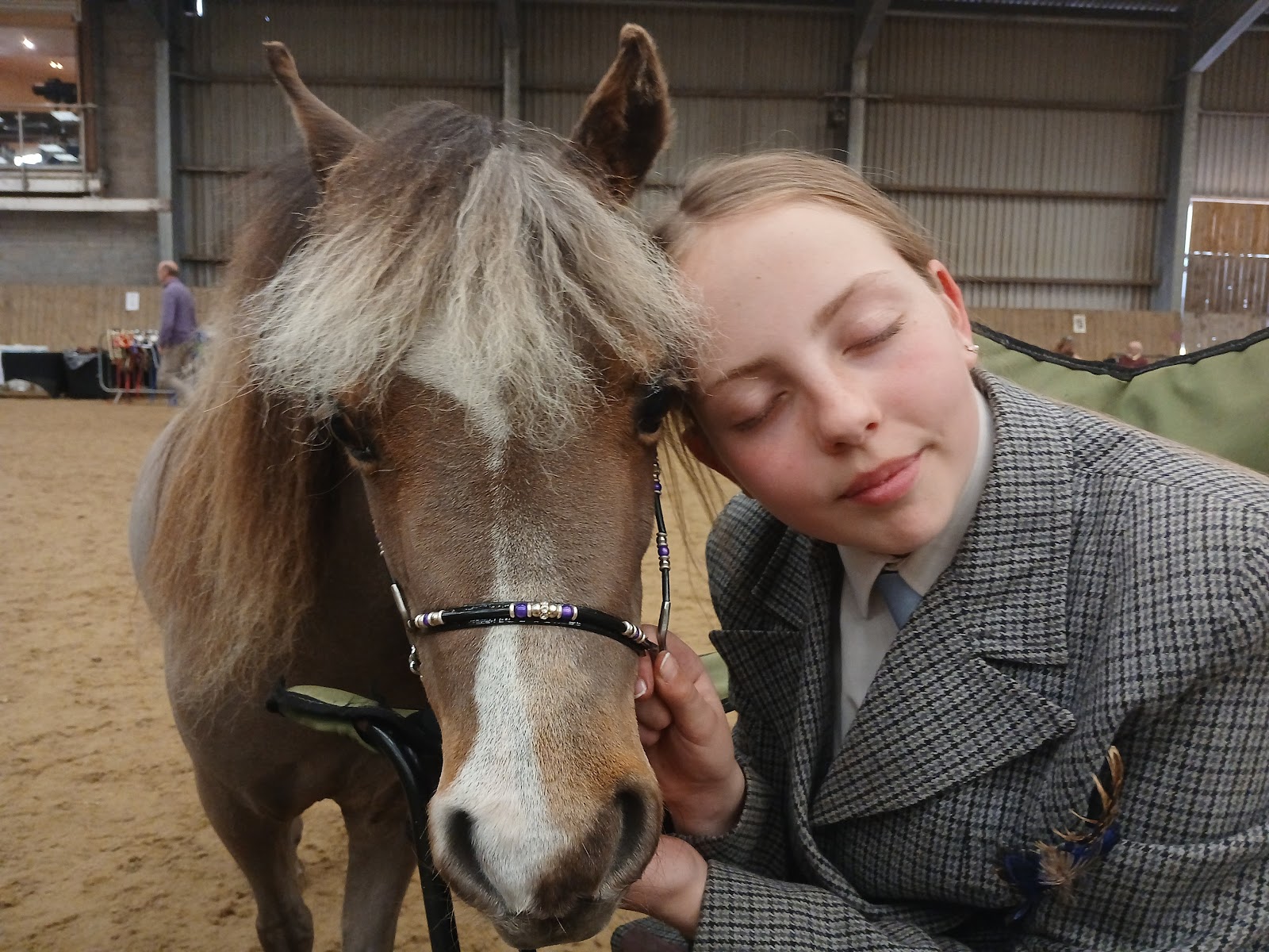 Sherwood Forest Harmony Horses