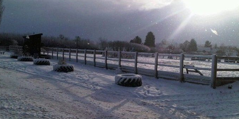 Dovecote Equestrian Centre