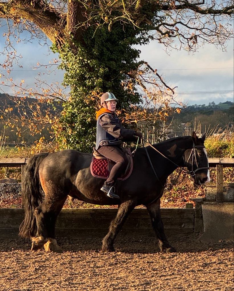 Park View Riding School