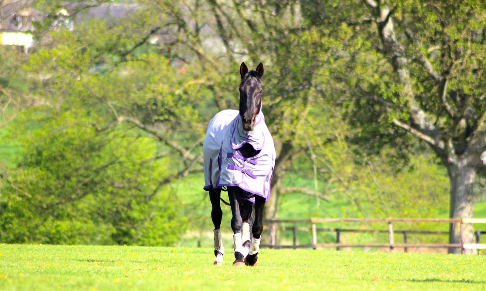 Brampton Grange Livery Yard