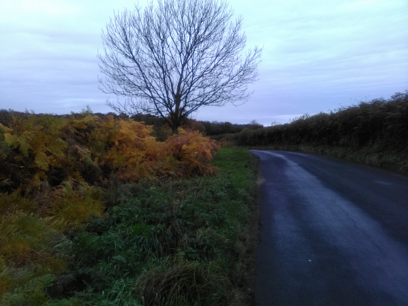 Hollyfast Meadows Central Equestrian