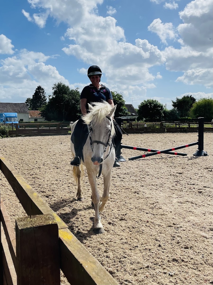 Willow Farm Equestrian Centre