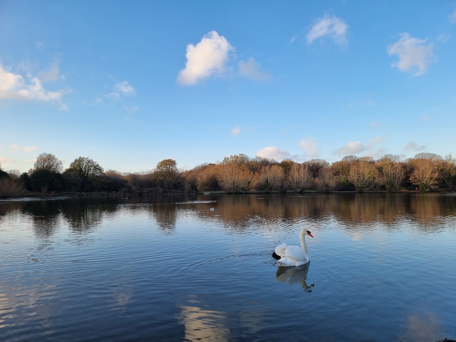 Hainault Forest