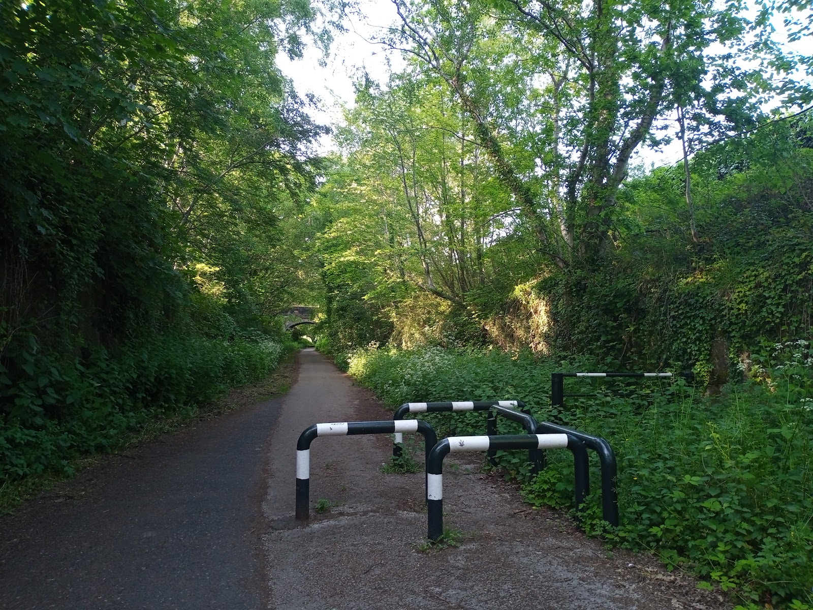 Health And Well - being Nature Trail