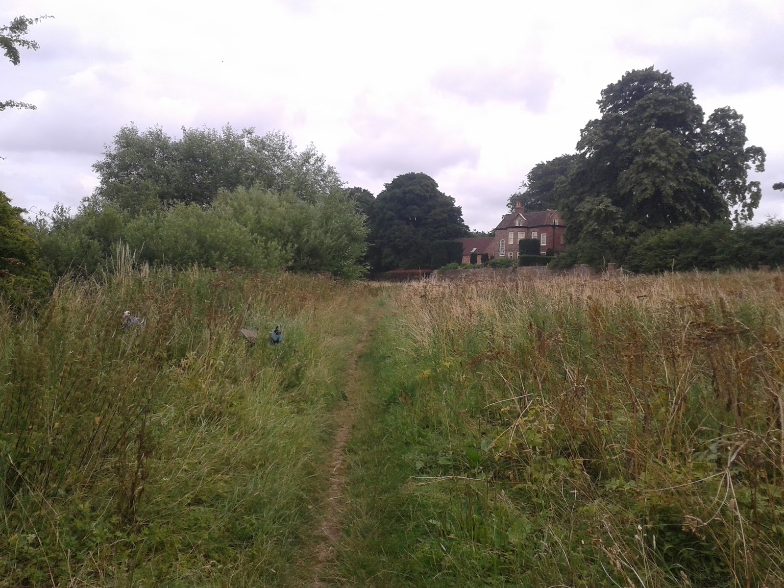 Fulford Ings