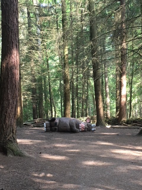 Wyre Forest - Forestry England
