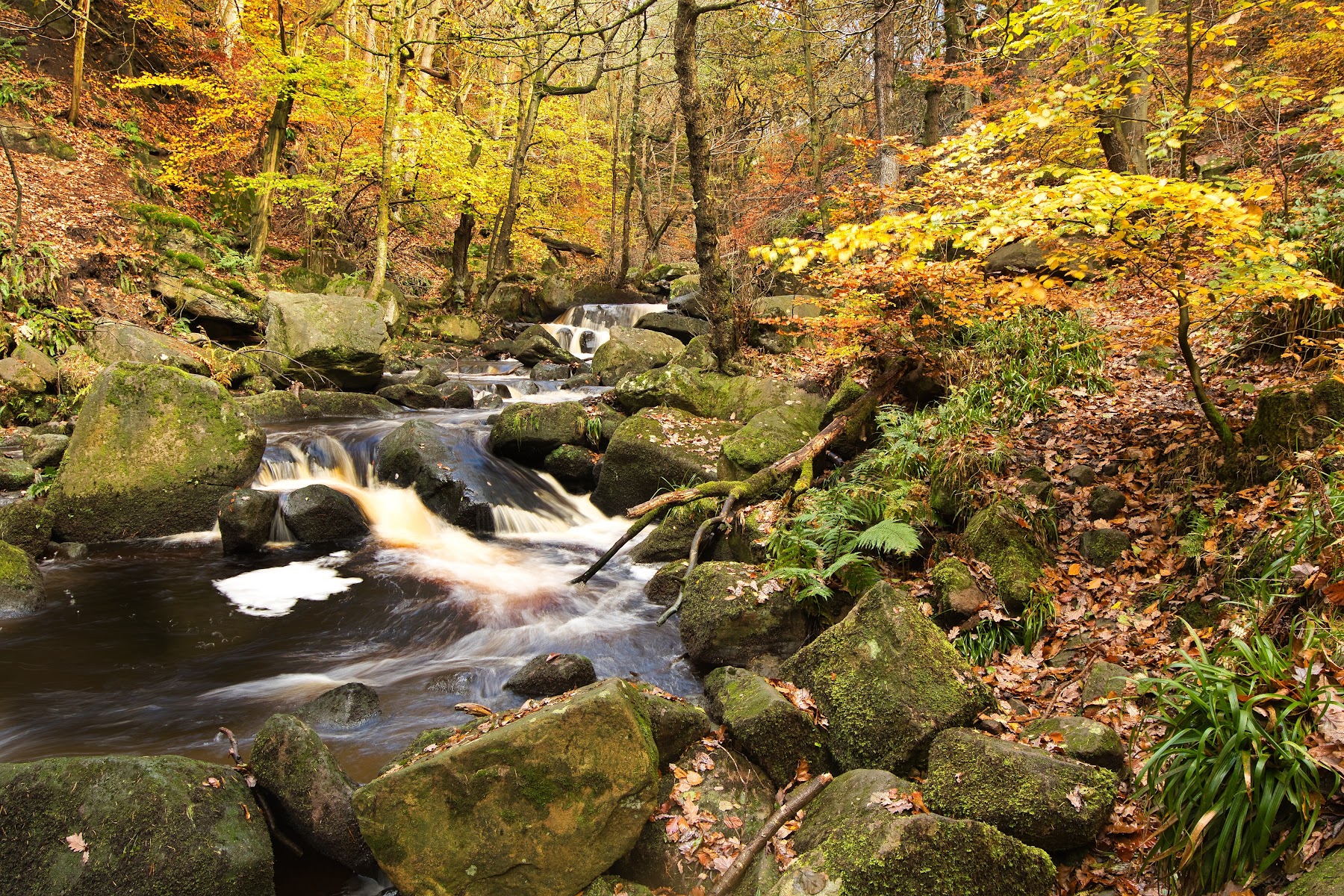 National Trust Padley Gorge