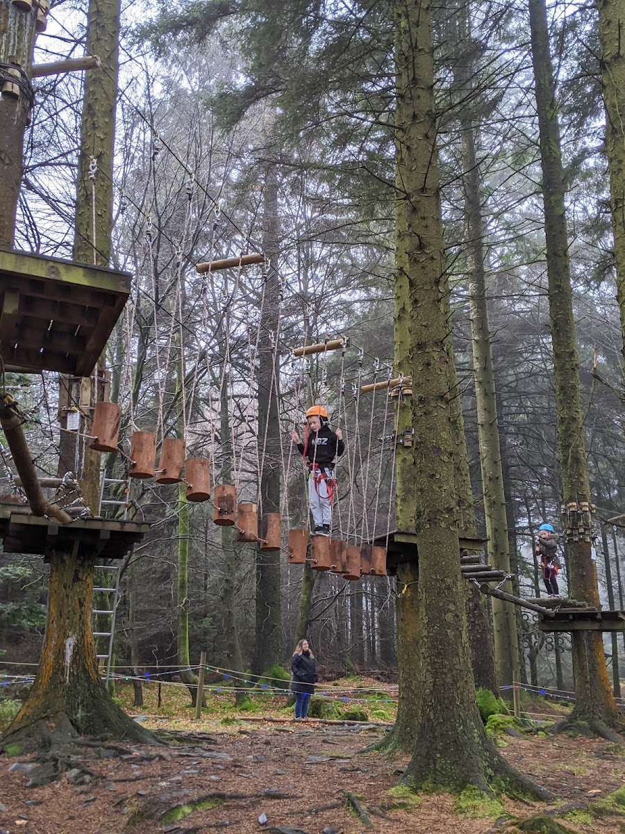 Ape Mann Adventure Park