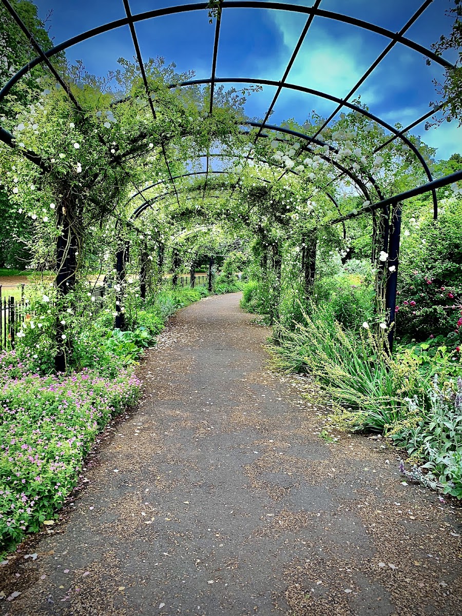 Hyde Park Rose Garden