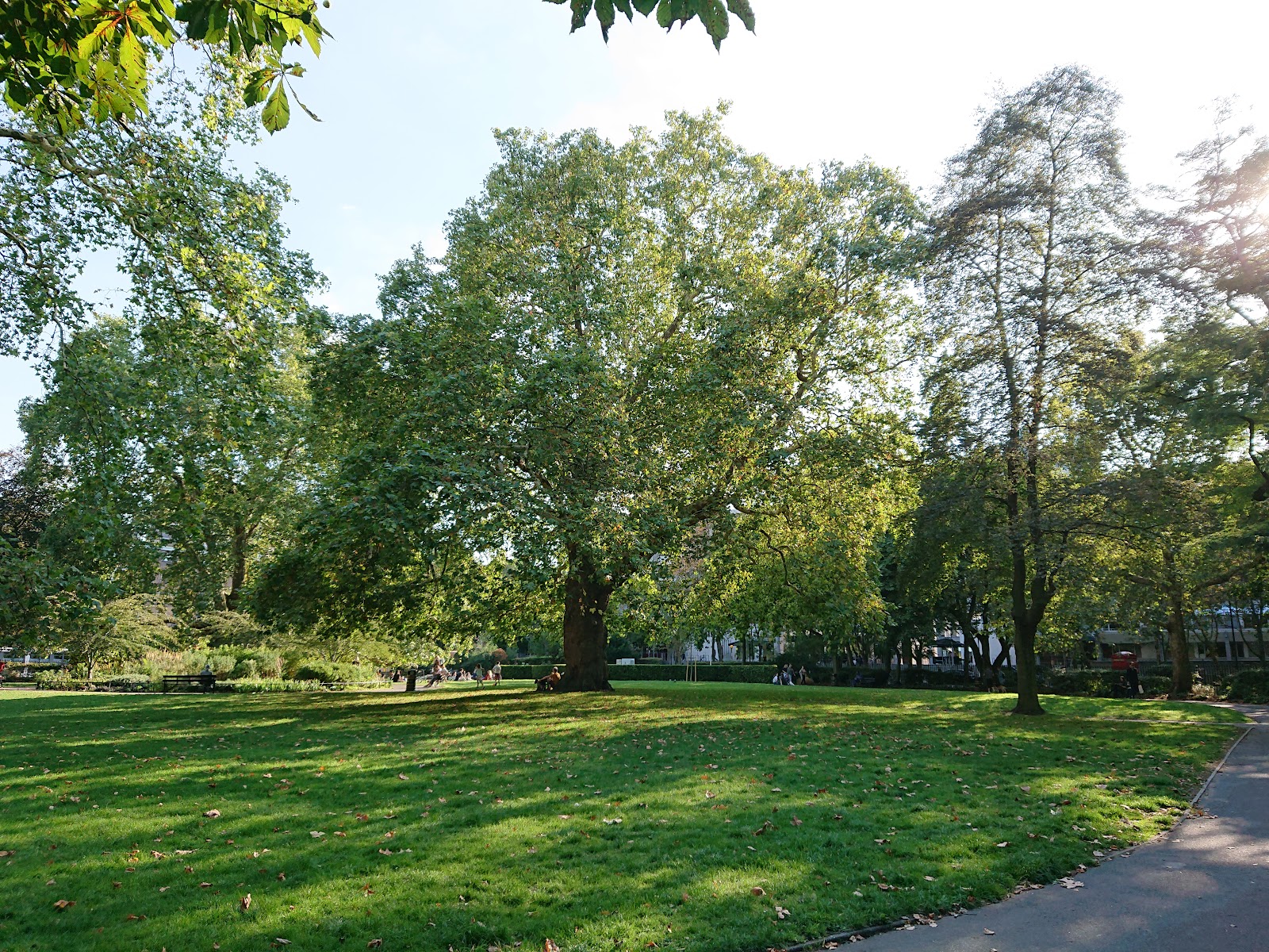 Brunswick Square Gardens