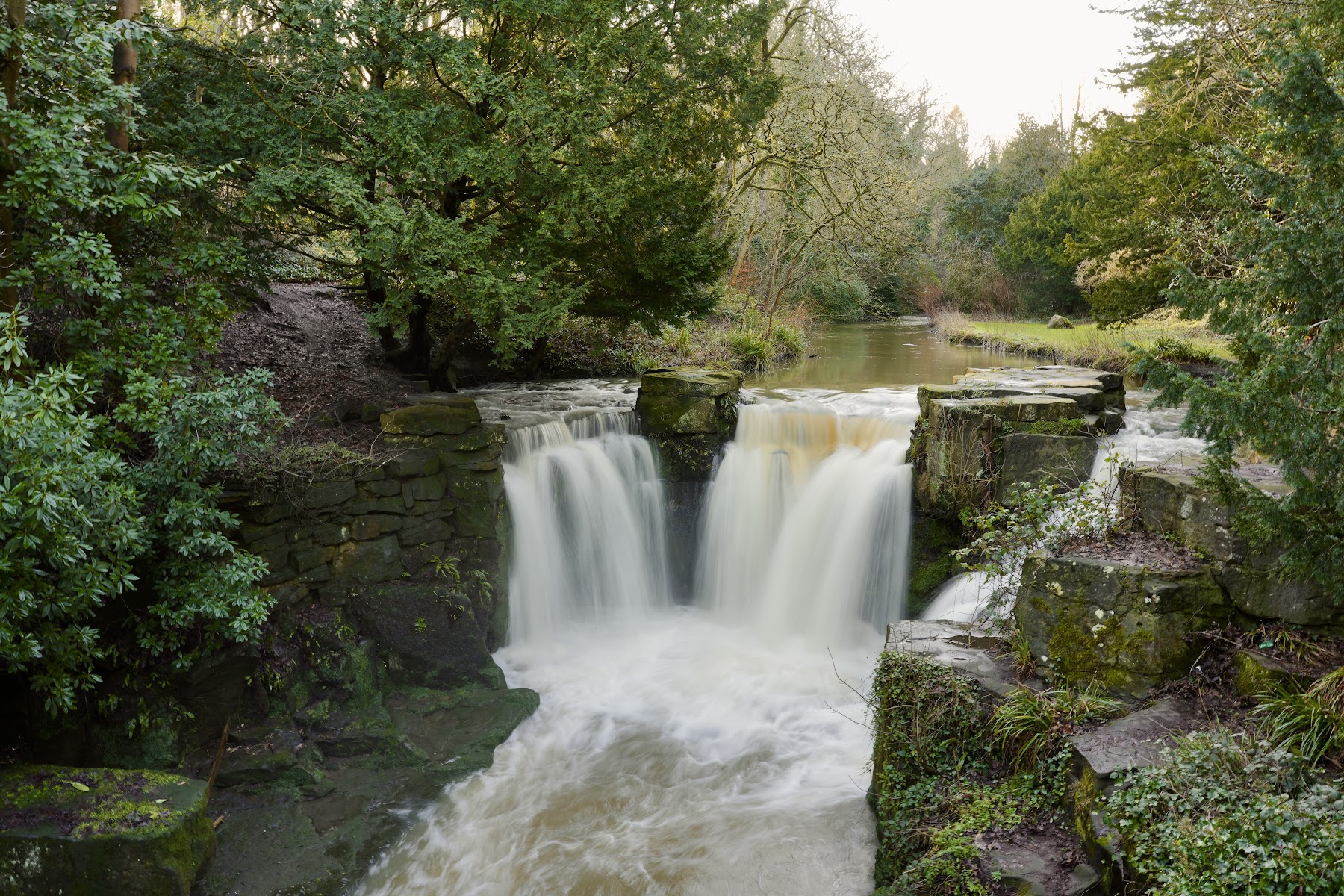 Jesmond Dene