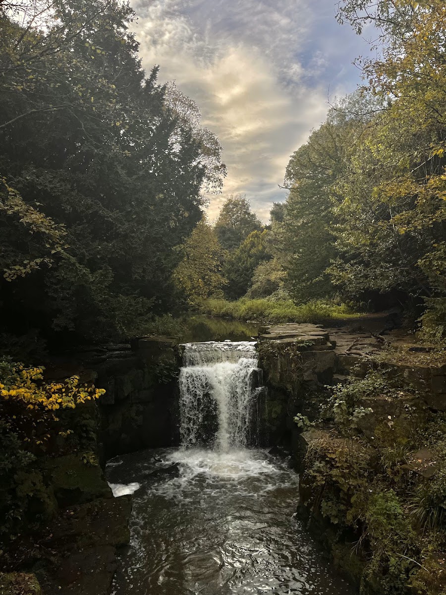 Jesmond Dene