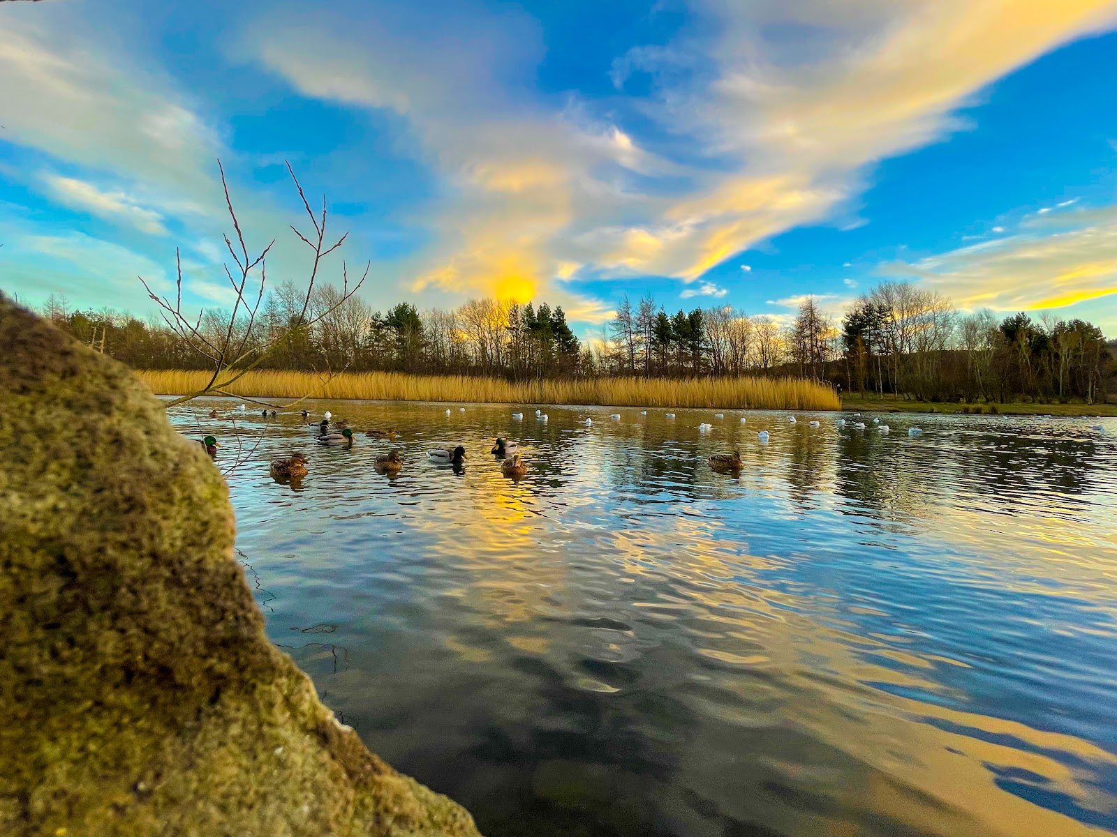 Watergate Forest Park