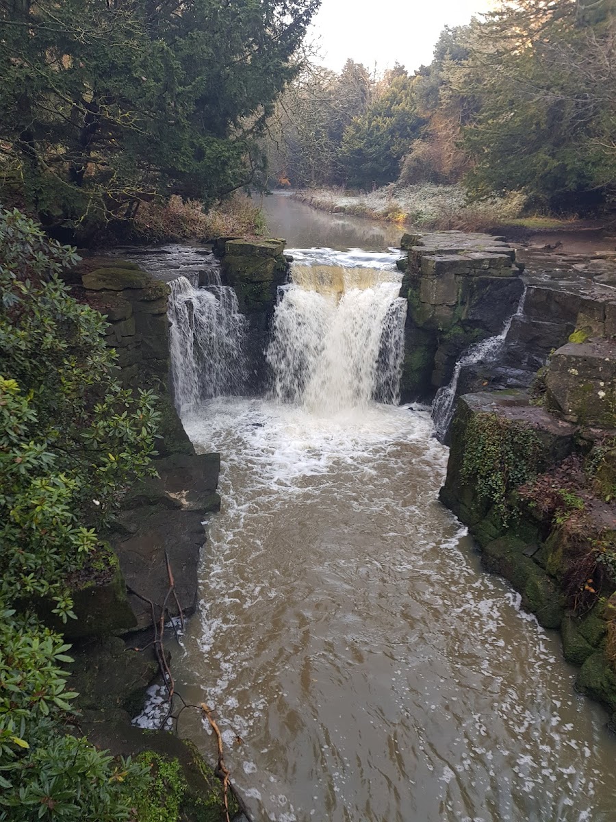 Friends of Jesmond Dene