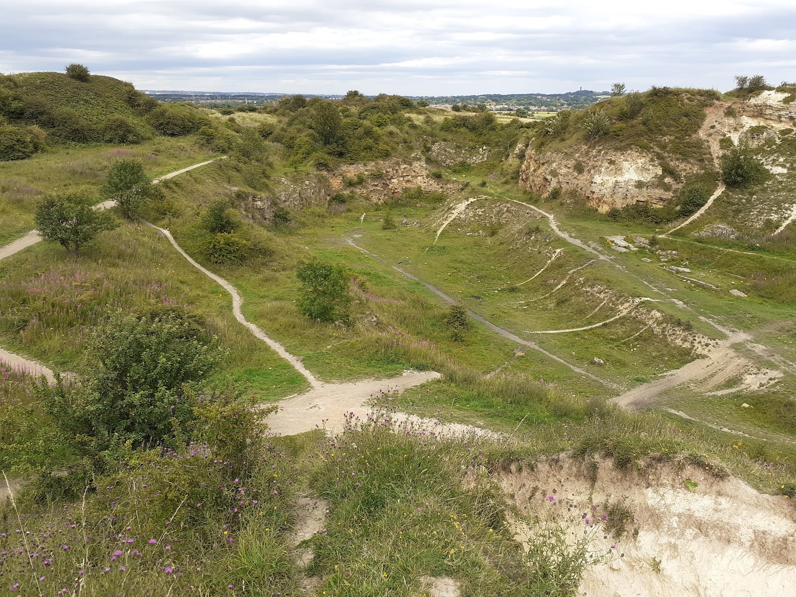 Fulwell Quarry Nature Reserve